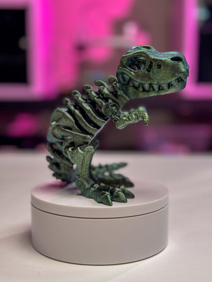 Skeleton T-Rex